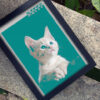 picture of pet cat in a black a4 size frame placed on a bench in park