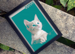 picture of pet cat in a black a4 size frame placed on a bench in park