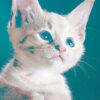 closeup of pet cat edited in retro style