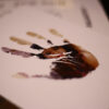 close up view of girl's photo clipped as handprint