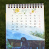 blue themed calender printed with photo in the bottom