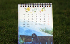 blue themed calender printed with photo in the bottom