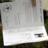 Cupid stamp, authentication of happiclap and preface of a demo love passport gift.