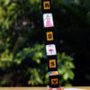 name and pictures appear while taking out greeting box